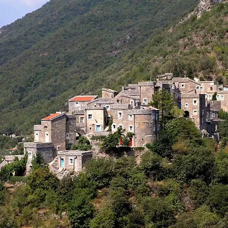 Cassa Di Loggia - Medieval